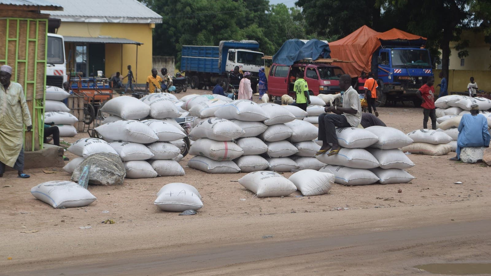 Bagged cereals and pulses at a Tanzanian trading store — the origin buying and preparing trade the company was built on