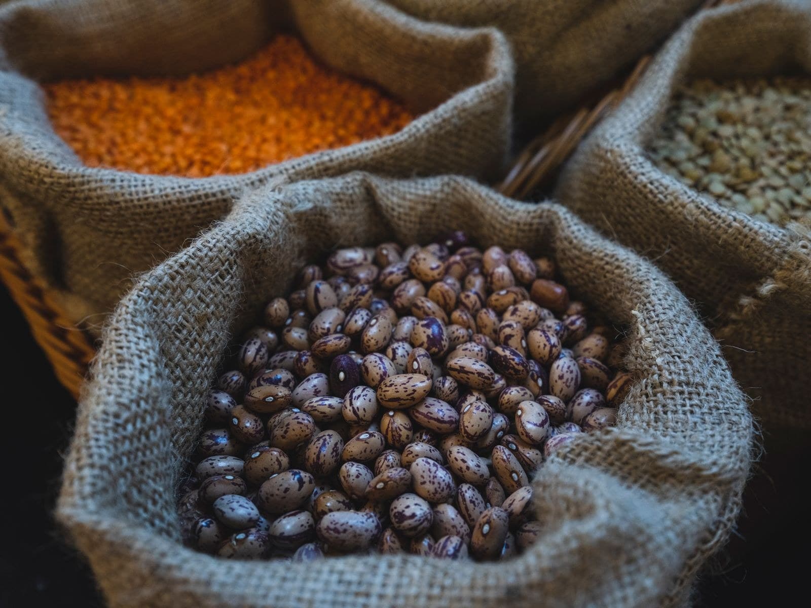 An open jute sack of speckled rose coco beans in the foreground, sacks of red and green lentils behind