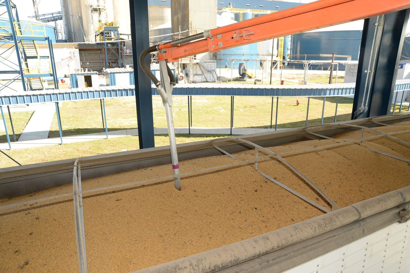 Pre-shipment sampling being carried out on a loaded consignment, with samples bagged and labelled