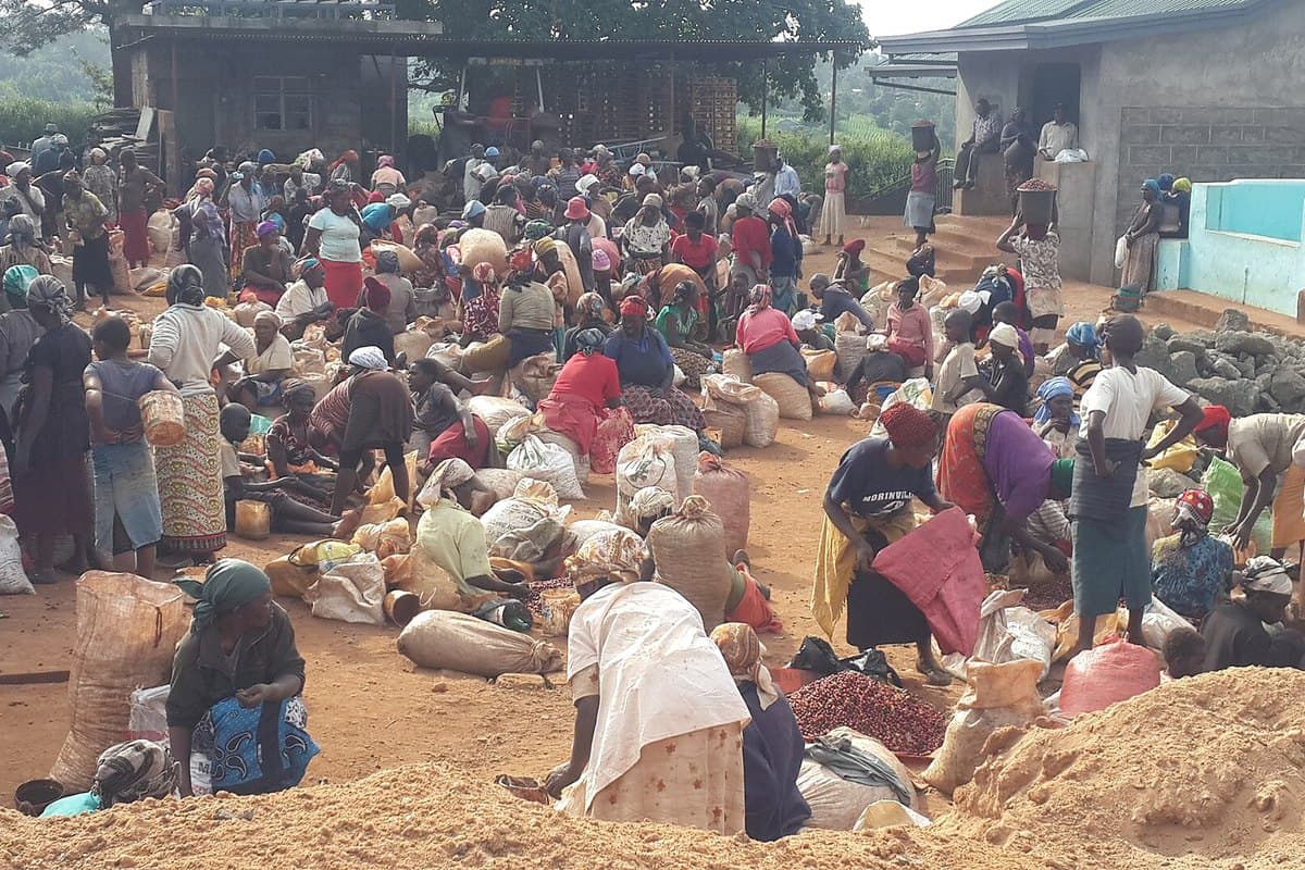 A farmer standing beside filled produce bags at a rural aggregation point, talking with a sourcing officer