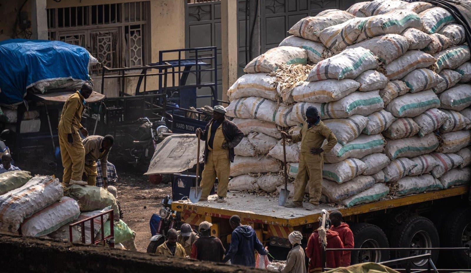 A crew stacking bagged commodity high onto a lorry bed at a buying point before it moves to store