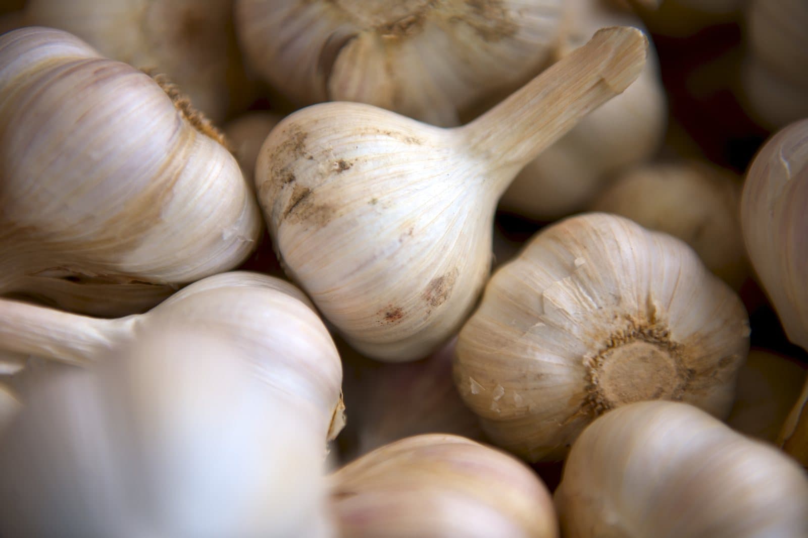 Cured whole garlic bulbs filling the frame, their papery outer skins intact