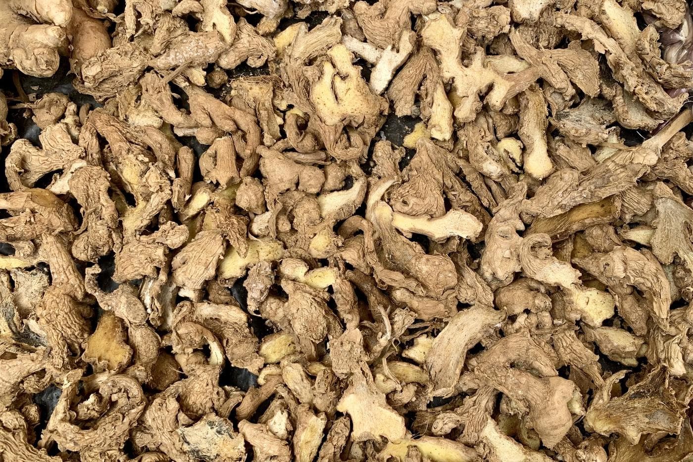 Whole dried ginger rhizomes filling the frame on a black drying sheet