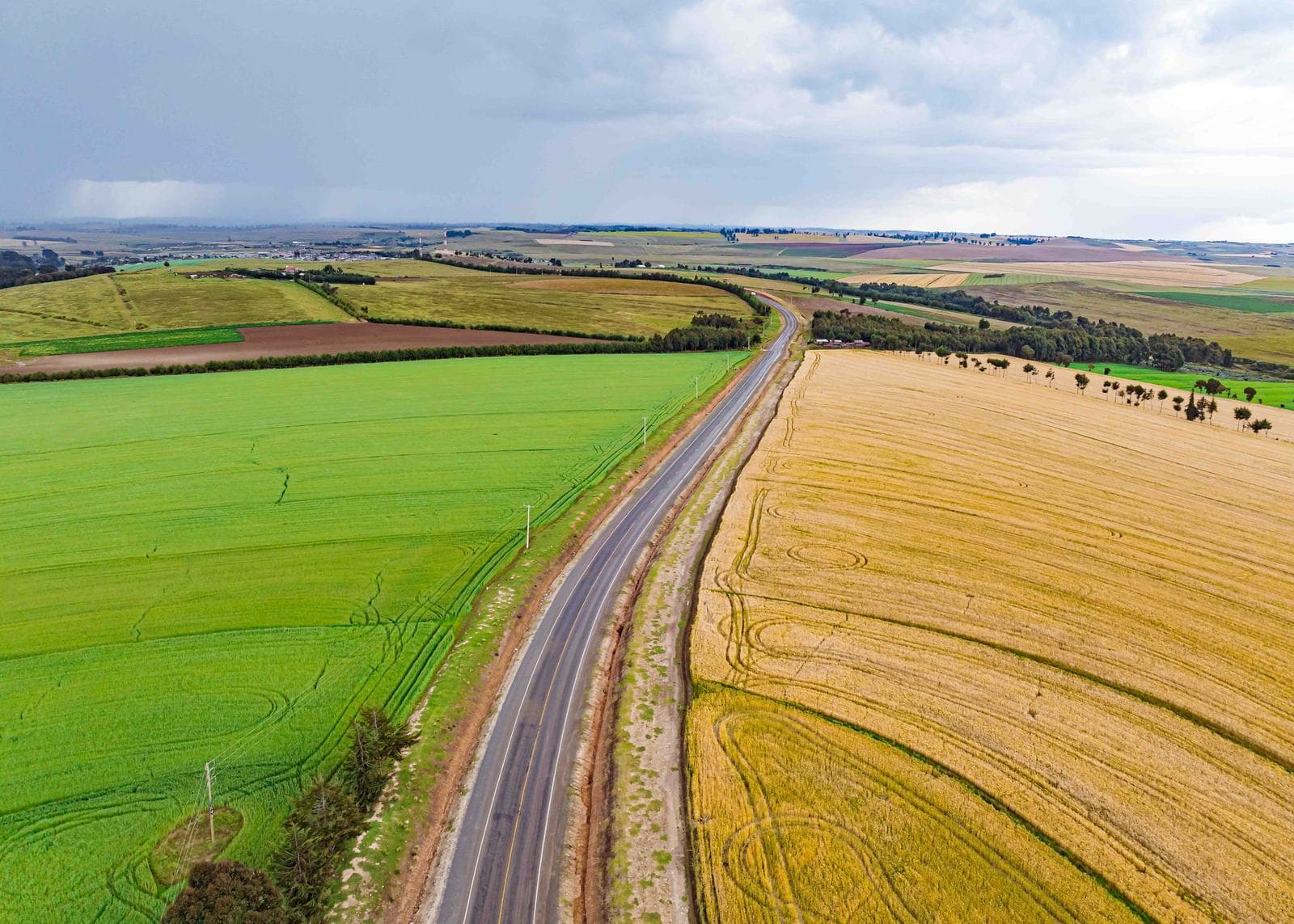 Aerial view of a road running between a green crop and a ripened golden one, open farmland stretching to the horizon