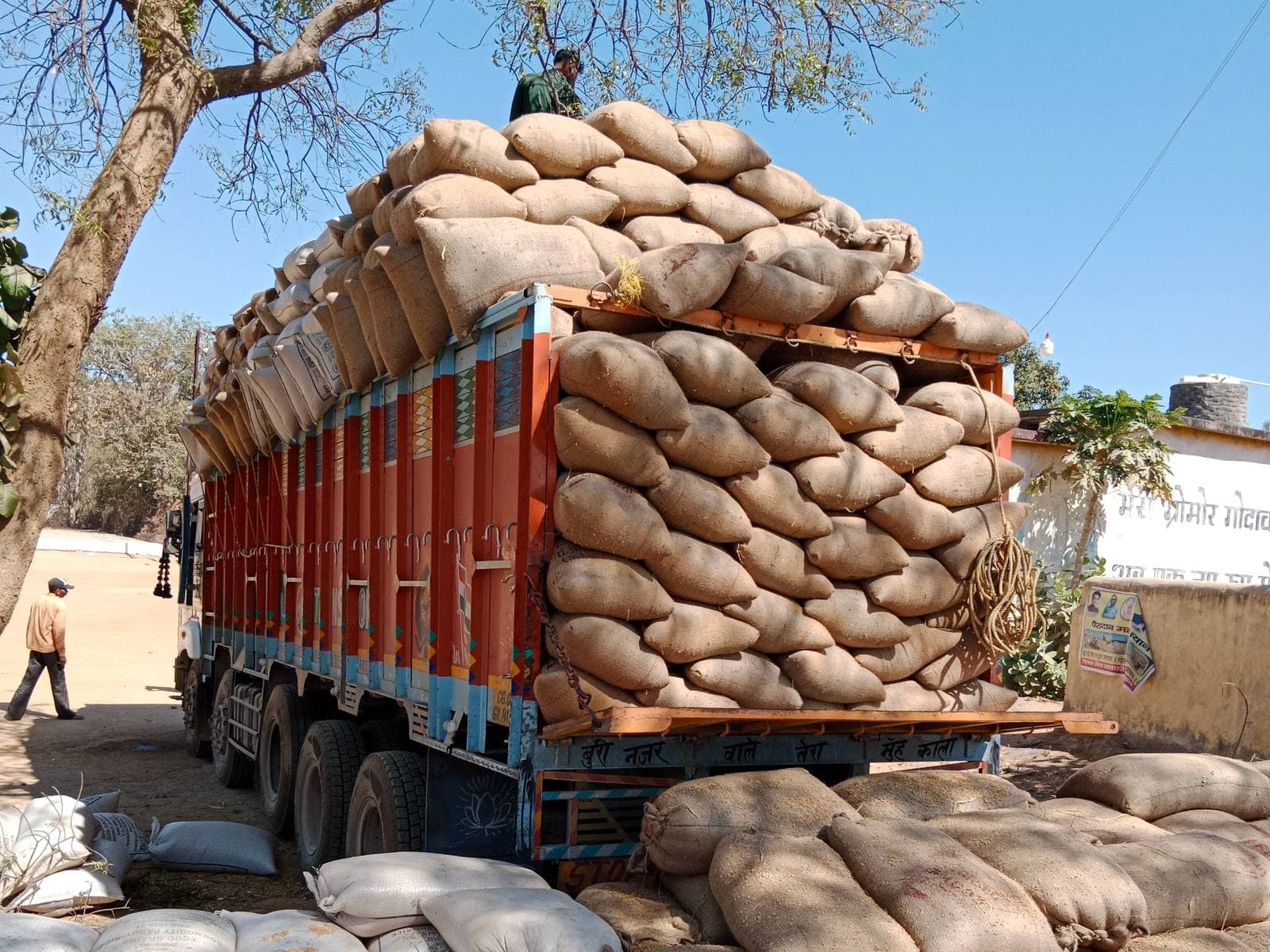 A lorry stacked high with jute sacks under a shade tree, more filled sacks waiting on the ground beside it