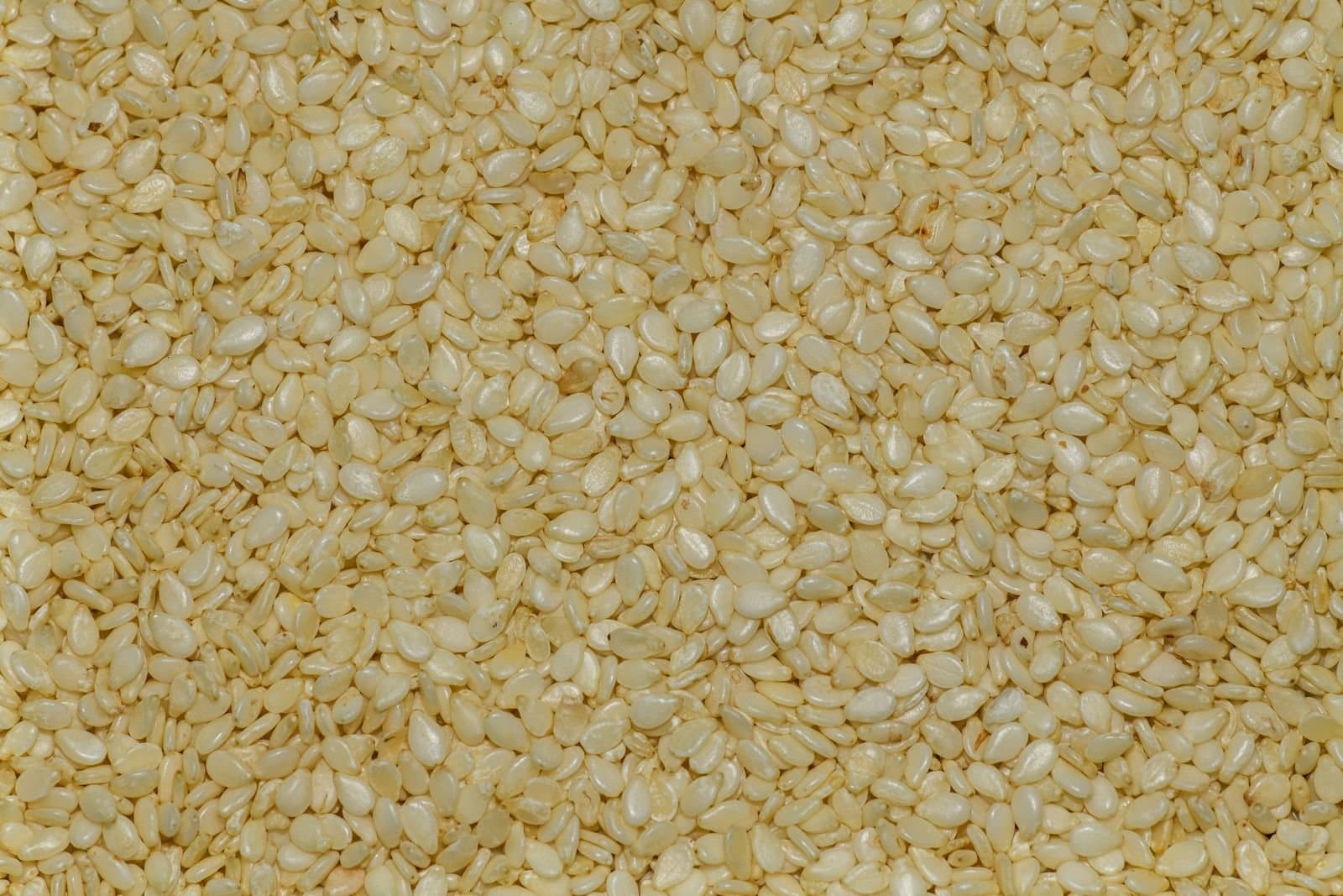 Natural whitish sesame seed in bulk, filling the frame