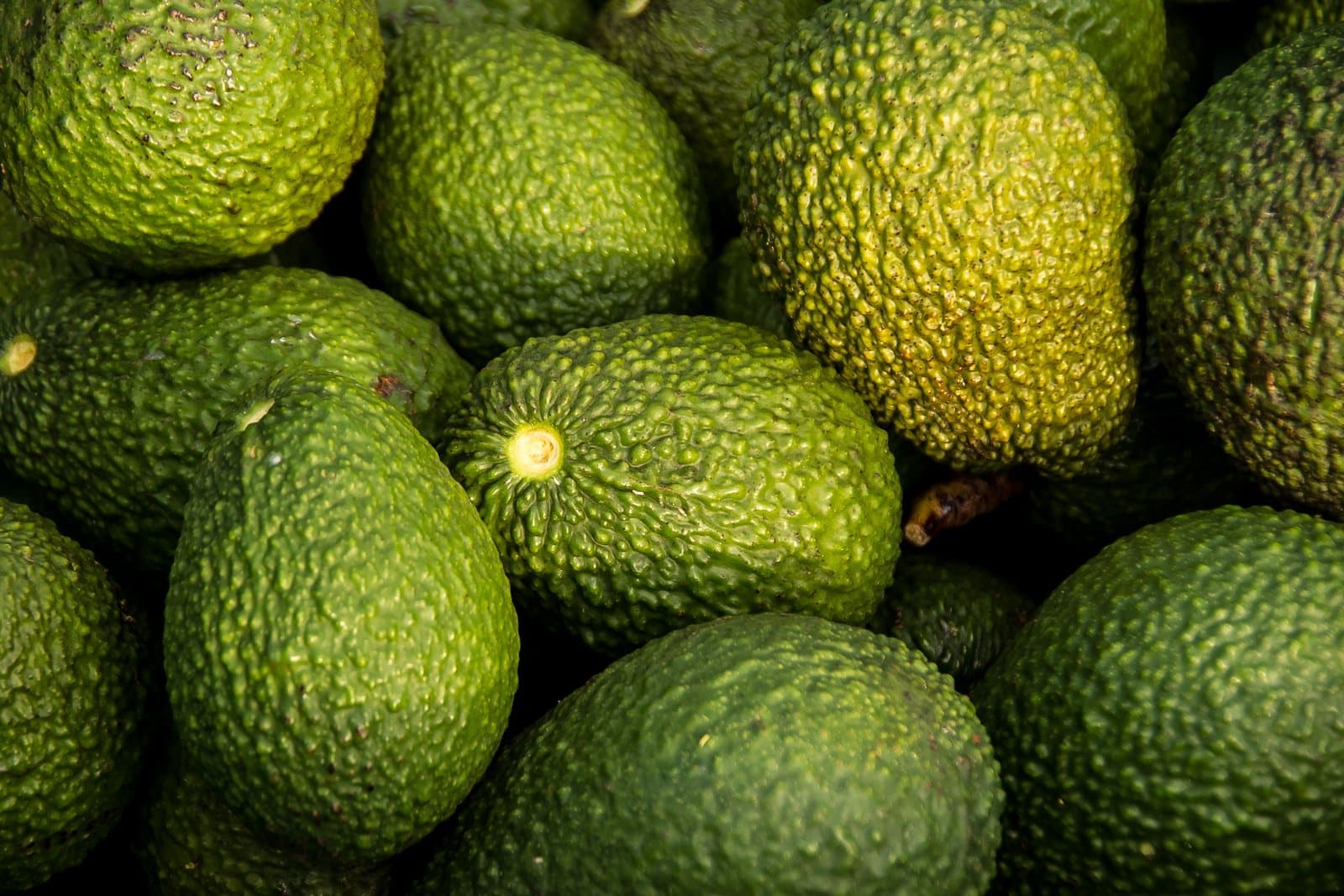 Whole Hass avocados in bulk, their pebbly skins filling the frame in daylight