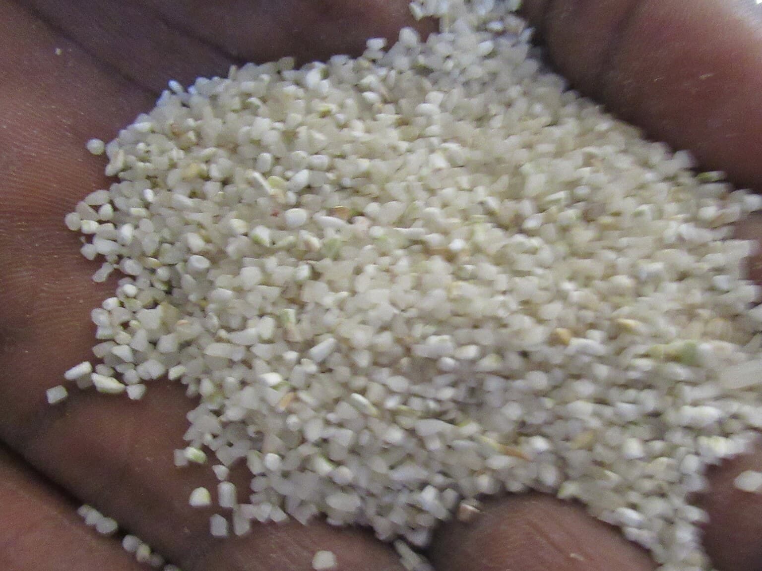Graded broken rice fractions displayed in three labelled sample trays