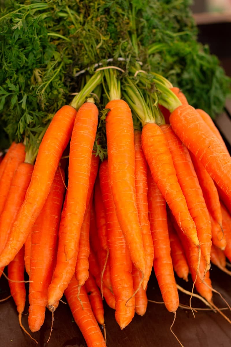 Freshly harvested carrots with green tops in a wooden crate at a packing shed