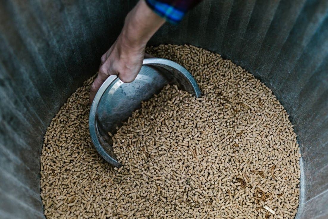 A scoop lifted from a drum of loose feed material at a store