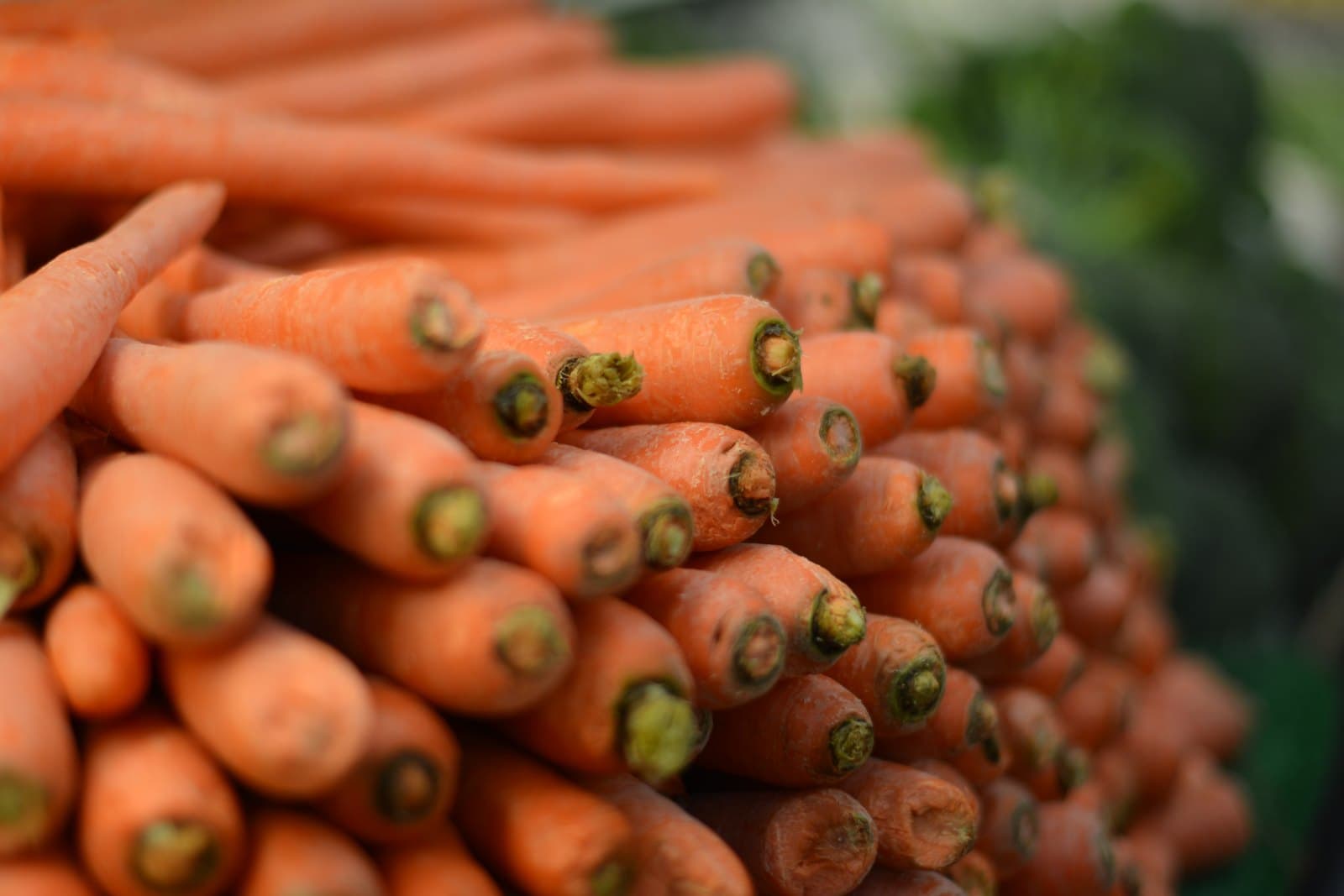 Washed carrots with their tops trimmed, piled in bulk