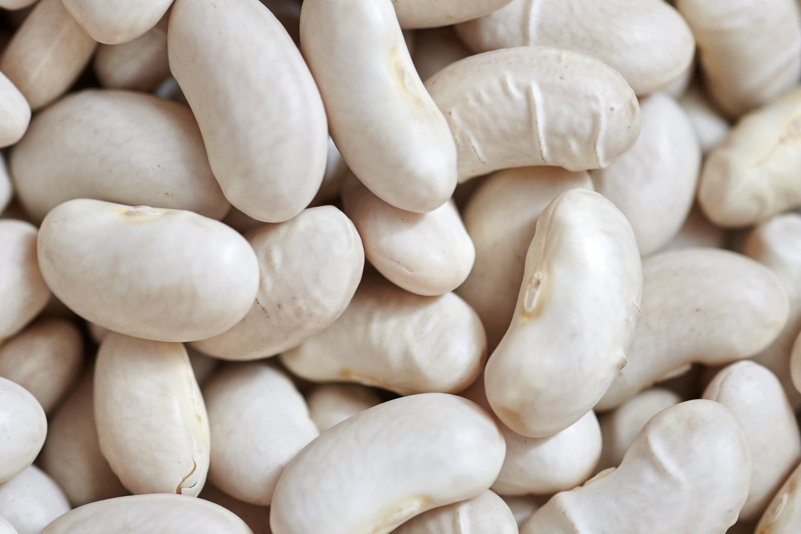 Cleaned white haricot beans in close view, filling the frame