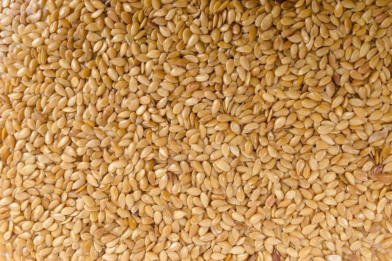 Cleaned sesame seed in bulk, filling the frame