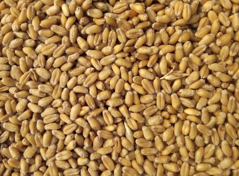 Fine white corn flour in a woven sack with a sample spilling onto a wooden surface