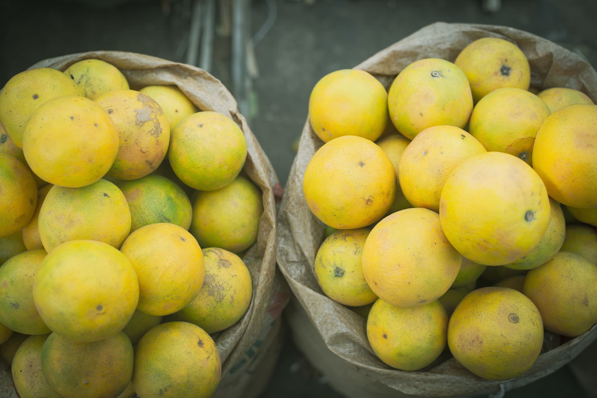 Whole oranges heaped in two open woven sacks at a market