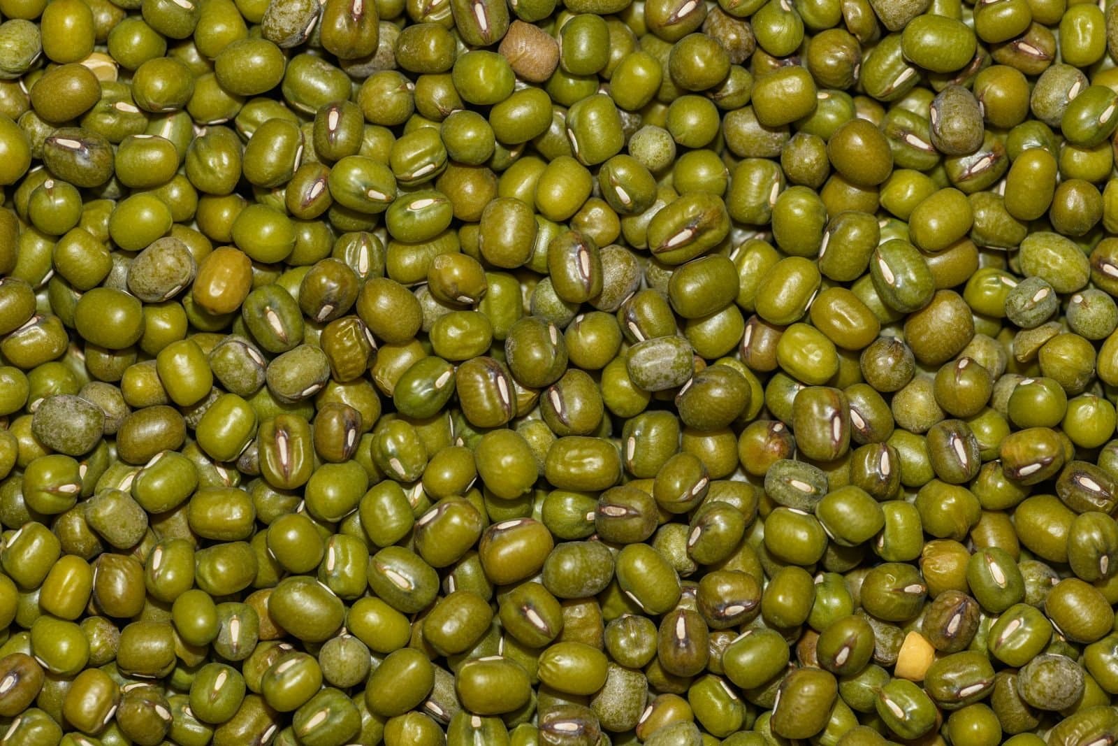 Whole bright green mung beans in bulk, filling the frame