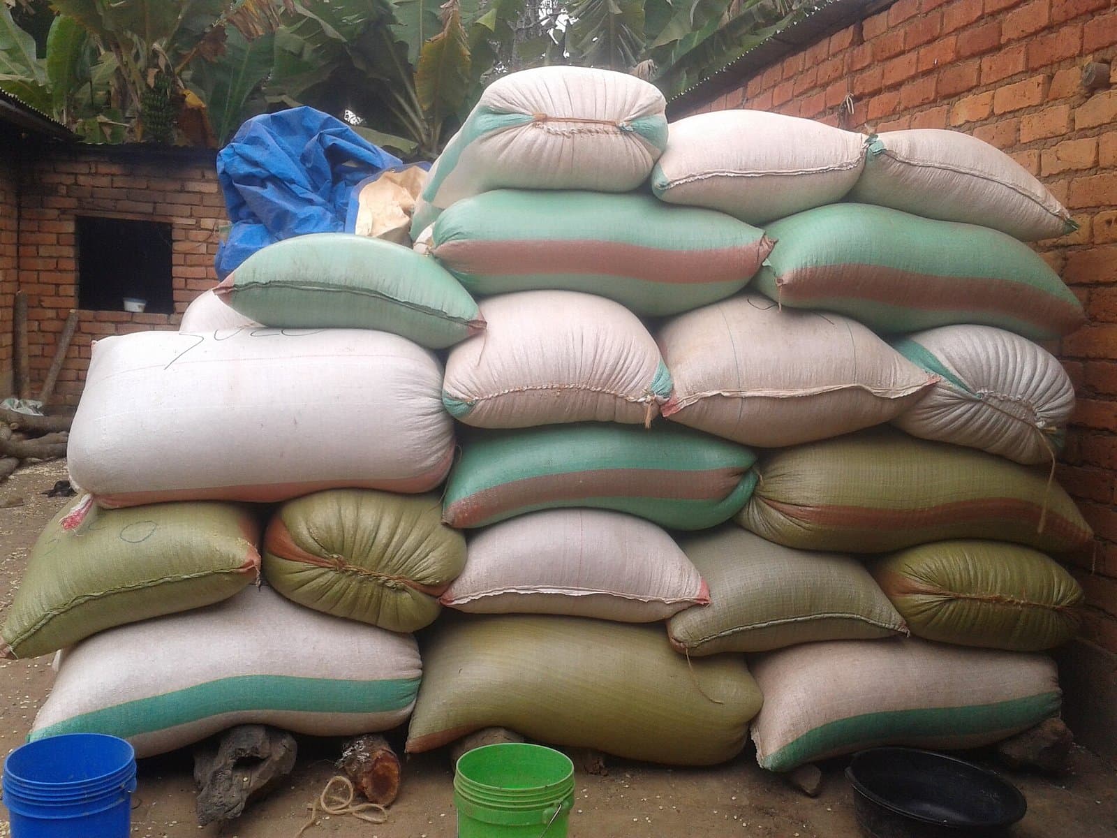 Bagged maize from the harvest stacked at a rural aggregation point in Tanzania