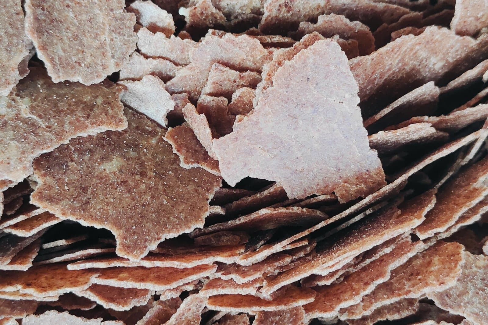 Broken slabs of pressed oilseed cake, the solid residue left after the oil is expelled