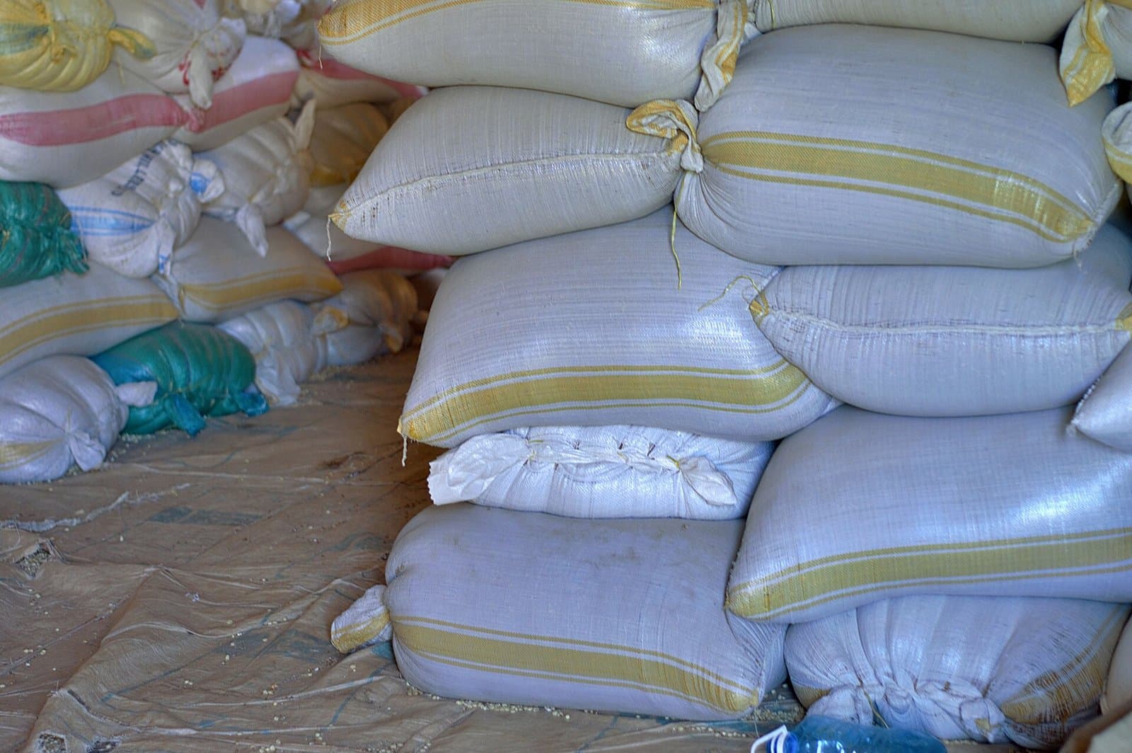 Bagged grain stacked off the floor on a lined store base, keeping the sacks clear of ground moisture