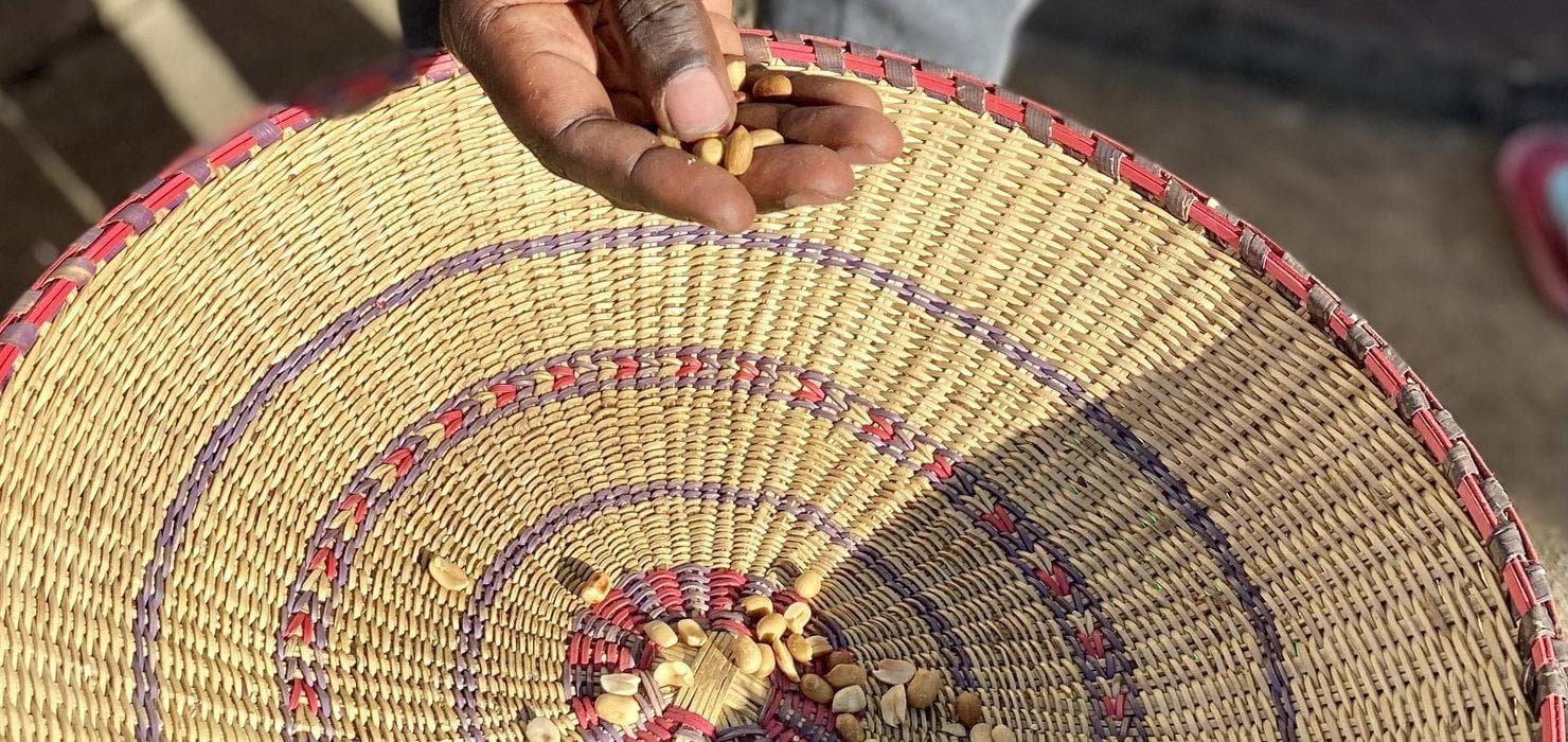 A hand lifting a few groundnuts from a woven winnowing tray