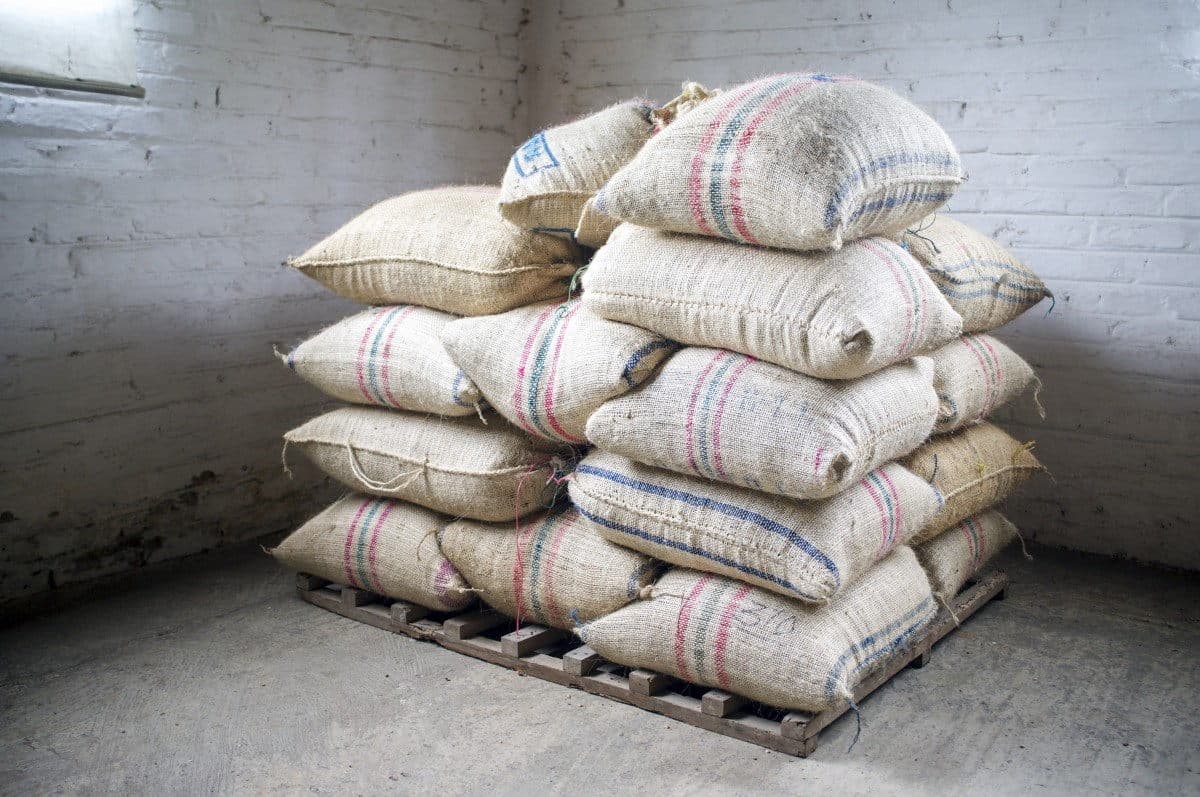 Filled jute sacks stacked on a wooden pallet, clear of the floor, in a whitewashed store